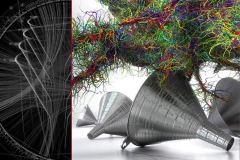 IntergenomicConflicts